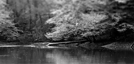 免费用虚拟号码发电话